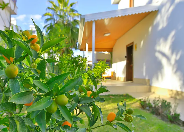 Villa Ev *
