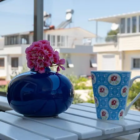 Ev Villa