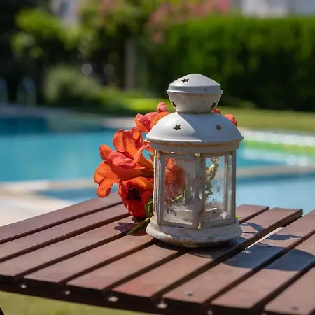 Ev Belek