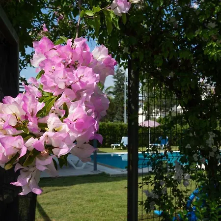 Ev Belek